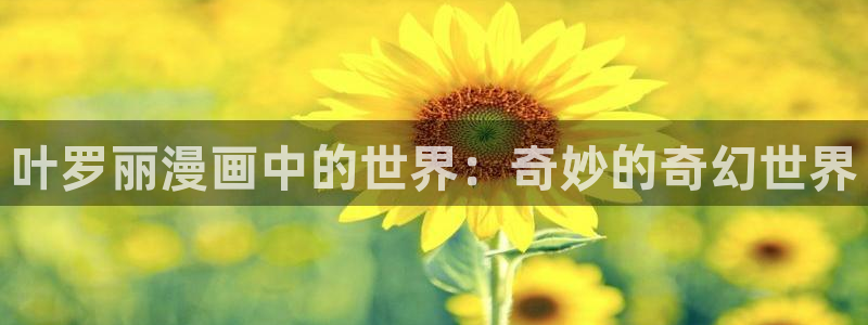 漫蛙官方版正版入口网页