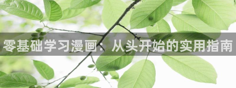 漫蛙免费官网入口