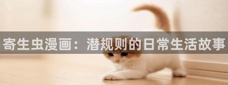 漫蛙漫画安卓