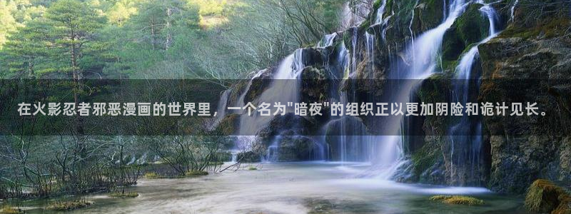 漫蛙下载漫画