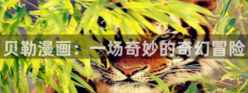 漫蛙2链接ios版