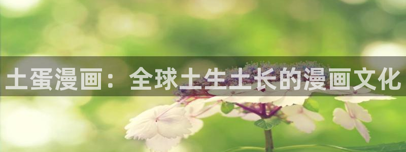 漫蛙2.apk