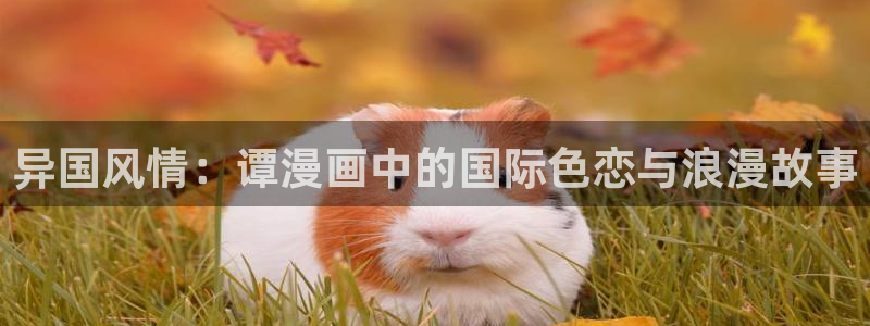 漫蛙无删