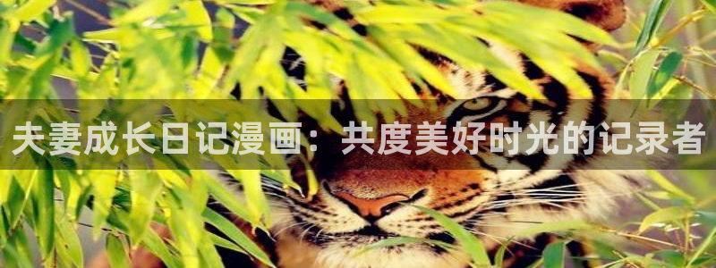 七十二松漫蛙