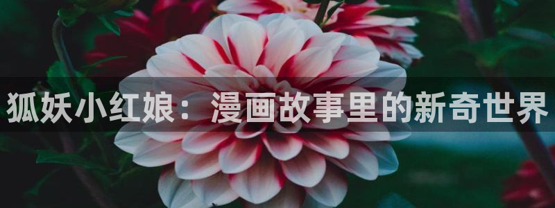 漫蛙漫画(网页入口)漫蛙manwa官网版漫